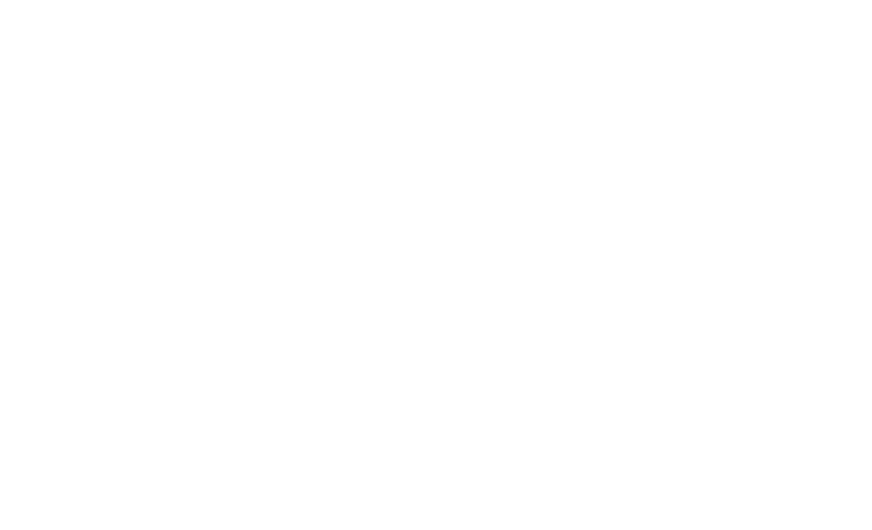 EuroDrive Mudanzas
